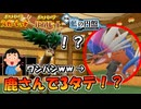 【ポケモンSV】コライドンを上からワンパンどころか3タテしてしまうメブキジカさんｗｗ【スカーレット・バイオレット・藍の円盤】