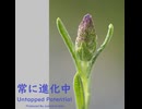 常に進化中 - Untapped Potential Produced by Junichiro Aoki