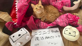 【踊ってみた？】LOVE＆JOY【ニコニコ復活おめ】