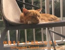 休息をとって元気になろう - Untapped Talent Produced by Junichiro Aoki