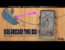 BIAS WRECKER THRU BOXの試奏動画です！