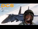 戦闘機パイロットと化した先輩.SEAD