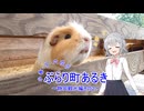 小春・ダ・六花のぶらり町あるき～静岡観光編その２～