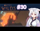 記憶を失ったイタコ姉さまのOuterWilds30