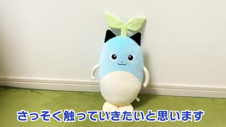 まめねこぬいぐるみクッション触ってみた。