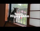 情景 / 可不 with チームひややっこ