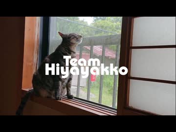 情景 / 可不 with チームひややっこ