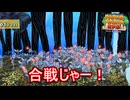 プニ族vsトゲ族の合戦　ペーパーマリオRPG実況プレイPart10
