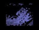 サンマを積んだトラックが