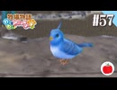 【実況】牧場物語わくわくアニマルマーチを初見で遊ぶいも【#57】