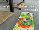 【GUMI】みんなおいでよ！ニコニコ動画【18秒CM】