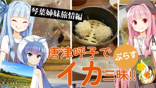 琴葉姉妹旅情編　唐津呼子でイカ三昧!!ぷらす【VIOCEROID夏休み】