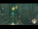 【ティアキン】ちょっと気になったことを調べてみた【ドリカラ】【ボイスピ実況,ゼルダの伝説,ティアーズオブザキングダム,TotK,バグ,検証 】