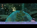 【ティアキン】ネルドラのウ○コどっさり【ドリカラ】【ボイスピ実況,ゼルダの伝説,ティアーズオブザキングダム,TotK,バグ,検証 】