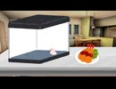 【ｾ虐】ごくありふれた日常の光景 その2
