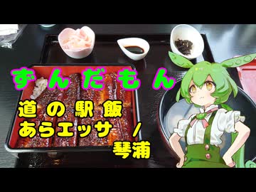 ずんだもん道の駅飯　 あらエッサ/ 琴の浦編