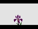 あなたの太陽だけ（アレンジ版） / ONE