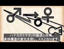 神秘の魚、ハナカガミサヨリとは！【A.I.VOICE】