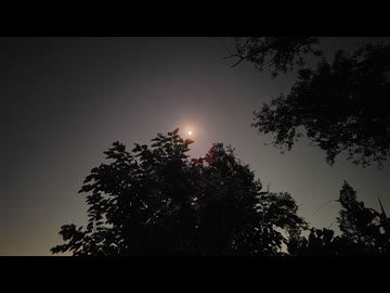 夜のぶっこみ釣り