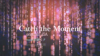 [LiSA]Catch the Moment(cover)/初音ミク
