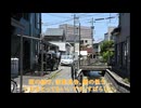 水辺を適当に歩いたはなし