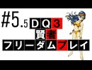【DQ3】【ゆっくり】賢者フリーダムプレイpart05.5【番外編】