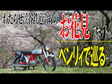 【ななまる日記】ベンリィで巡るわたらせ渓谷鉄道沿線のお花見スポット。