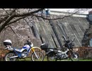 【ななまる日記】セローとハンターカブでお花見ツーリングしたら癒し空間のカフェを発見