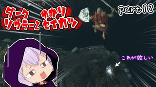 ダークソウラーⅡゆかり　part12【DARK SOULS II】