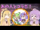 ゆかりさんのAPEX‼8