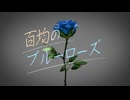 百均のブルーローズ/momo★yama feat. Mai(SynthV)