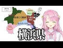 バカ日本地図.mp4【花咲ことは】