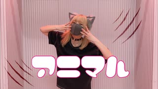 アニマル 踊ってみた 【おず】