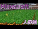 【マイクラ］積雪地帯でにんじん畑を作る！【Minecraft ニコニコ生放送 動画 #2