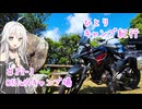 ひとりキャンプ紀行#32-3「四国爆走紀行～陽の下で猫と和解する編～」【Cevio車載】【ONIWAキャンプ場】