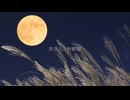 【忍たま乱太郎ED】四方八方肘鉄砲 - 繭実(Cover)