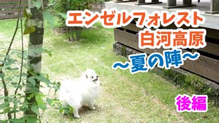 エンゼルフォレスト白河高原に行ってきました～夏～後編