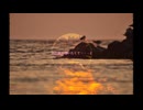 あの夏に逢いたくて・・・2 / feat. Ayame　ぼかえり2024夏