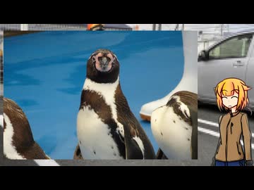おねちゃんOИ Theチェコバイク その25