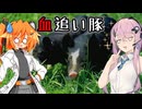 【DbD】自由形DBD １２２本目【ソフトウェアトーク実況】