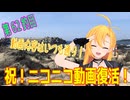 釣り動画ロマンを求めてN62釣目
