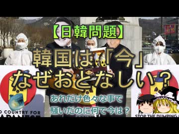 【ゆっくり解説】韓国は「今」なぜおとなしい？