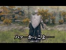 【エルデンリング】ダブル納刀状態を見る方法【もち子さん実況】