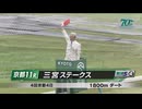 【ウマ娘風】三宮ステークス2024【オメガギネス】