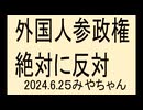 れいわ新選組、消費税廃止はいいが、外国人参政権は反対