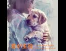 君が主役 - Untapped Talent Produced by Junichiro Aoki