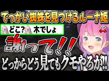 【DON'T SCREAM/2024.6.8】 でっかい蜘蛛をも見つけるもすっとぼけるルーナイトに謝罪を要求するルーナ姫【姫森ルーナ/ホロライブ切り抜き】