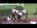 【ウマ娘風】 第2回撫子争覇SPⅢ (ハッピーミーク視点)