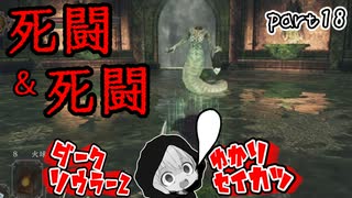 ダークソウラーⅡゆかり　part18【DARK SOULS II】
