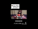 パンチングボール HIKAKIN